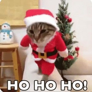 Meet your Posher, Harshit